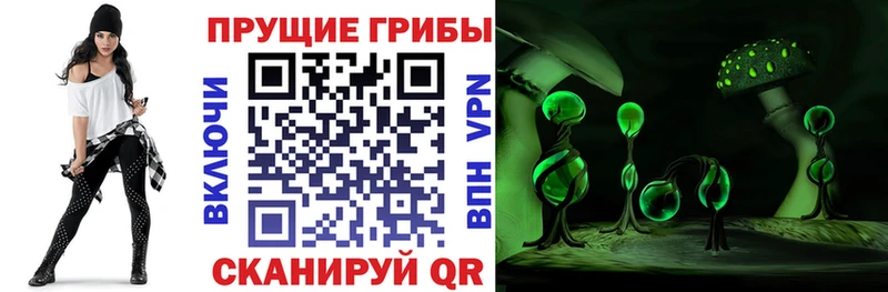 Галлюциногенные грибы MAGIC MUSHROOMS  гидра зеркало  Шацк  хочу наркоту 